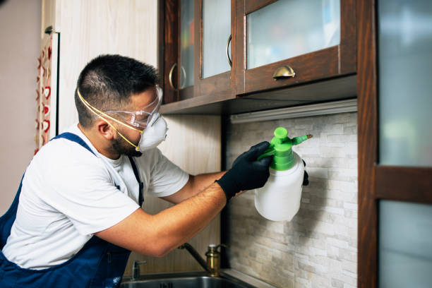 Best Pest Removal Services  in Wilson, PA