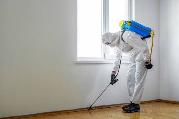 Best Residential Pest Control  in Wilson, PA